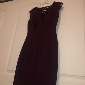 Gorgeous Plum work dress